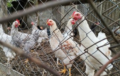 Автор фото Ника Виноградова. Специально для АСП НЬюс