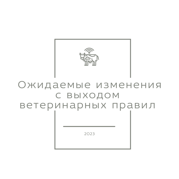 фото Ники Виноградовой для АСП Ньюс