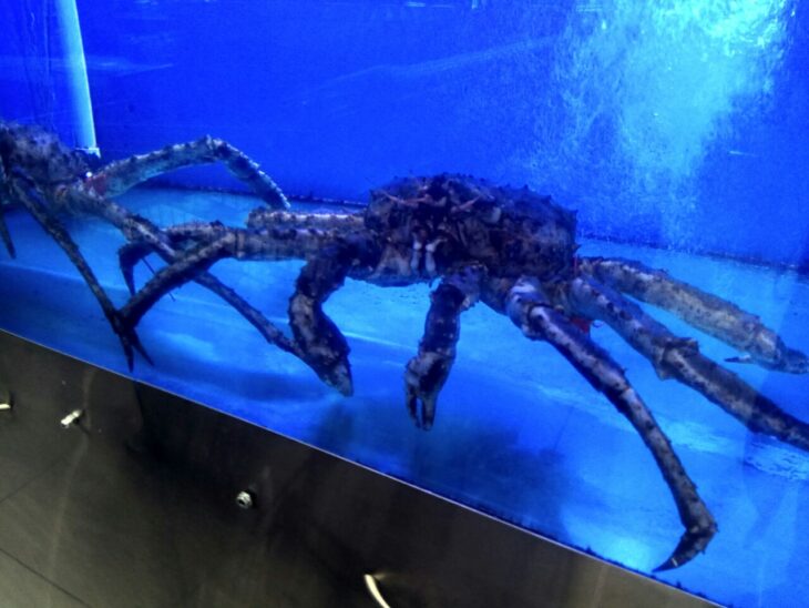 фото Александра Шихова для АСП Ньюс