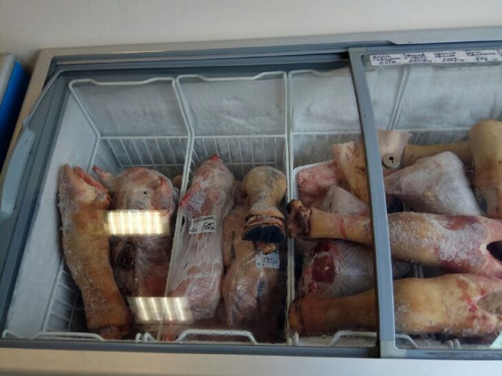 фото Александра Шихова для АСП Ньюс