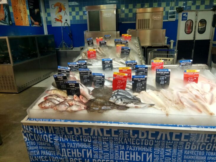 фото Александра Шихова для АСП Ньюс