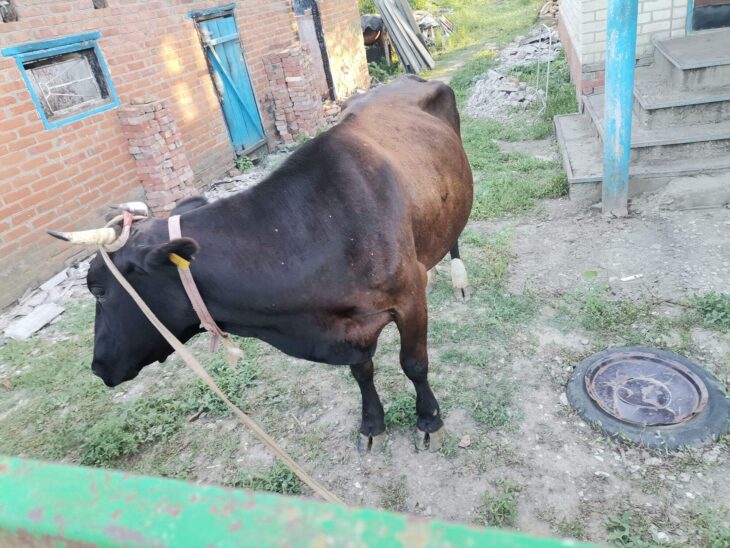 фото Ники Виноградовой для АСП Ньюс