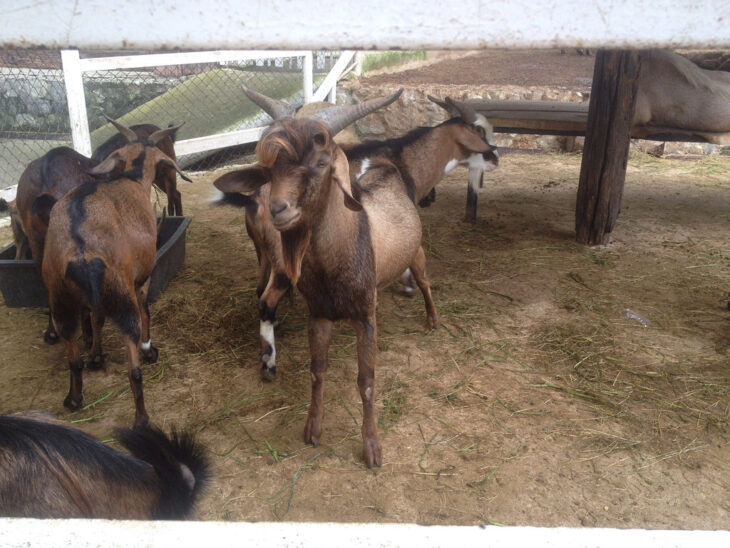 фото Ники Виноградовой для АСП Ньюс