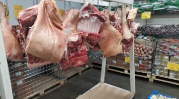 фото Ники Виноградовой для АСП Ньюс