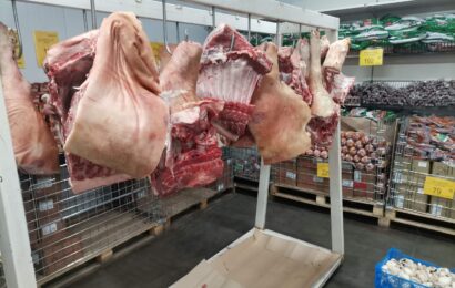 фото Ники Виноградовой для АСП Ньюс