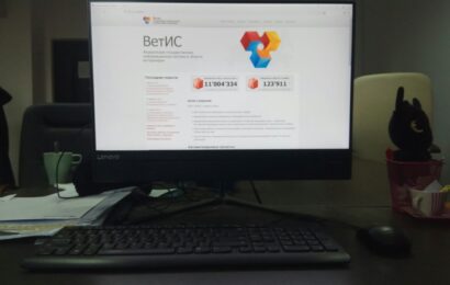 фото Александра Шихова для АСП Ньюс