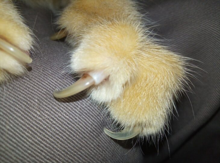 фото Александра Шихова для АСП Ньюс