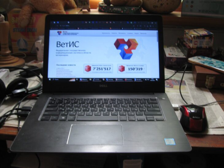 фото Александра Шихова для АСП Ньюс