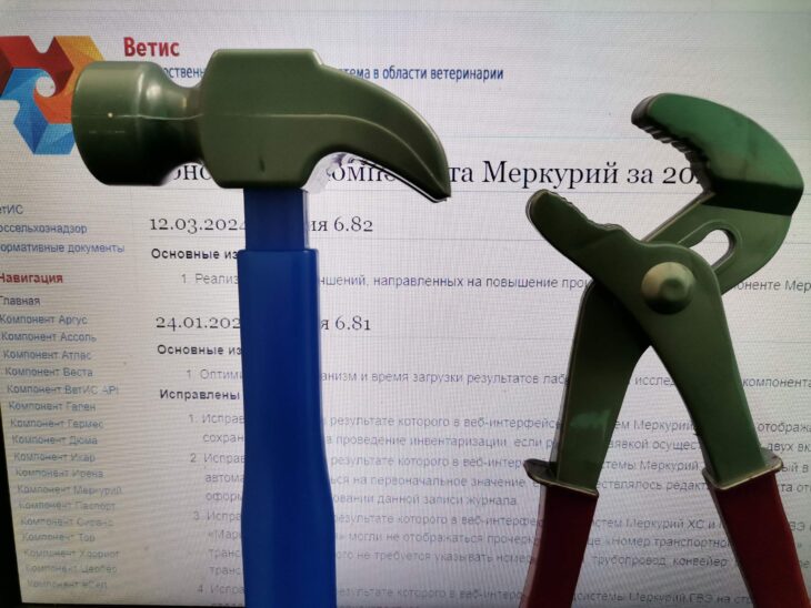 фото Ники Виноградовой для АСП Ньюс