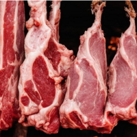 фото сделано с помощью платформы ИИ https://fusionbrain.ai