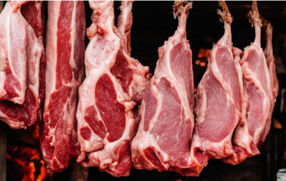 фото сделано с помощью платформы ИИ https://fusionbrain.ai