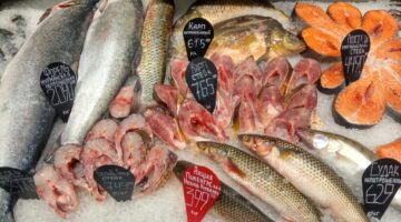 фото Александра Шихова для АСП Ньюс