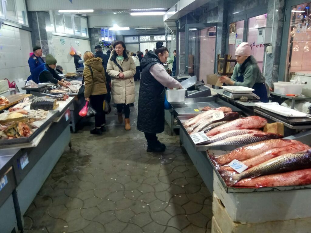 фото Александра Шихова для АСП Ньюс