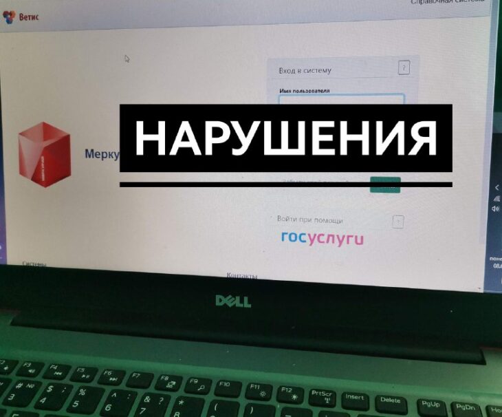 фото Ники Виноградовой для АСП Ньюс