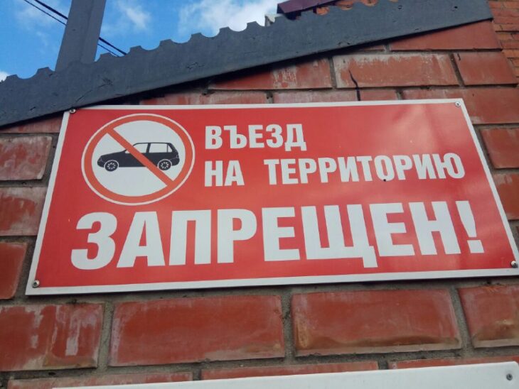 фото Александра Шихова для АСП Ньюс