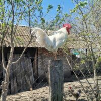 фото Ники Виноградовой для АСП Ньюс