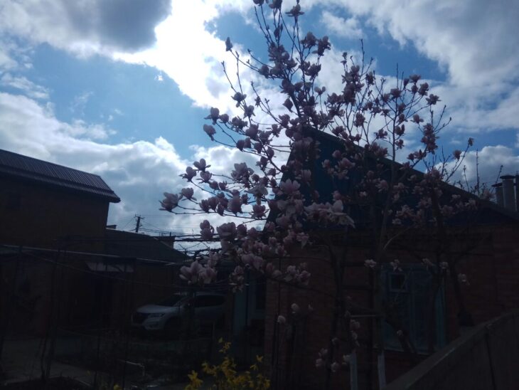 фото Александра Шихова для АСП Ньюс