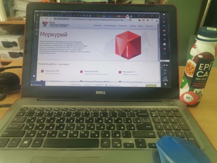 фото Ники Виноградовой для АСП Ньюс