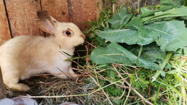 фото Ники Виноградовой для АСП Ньюс