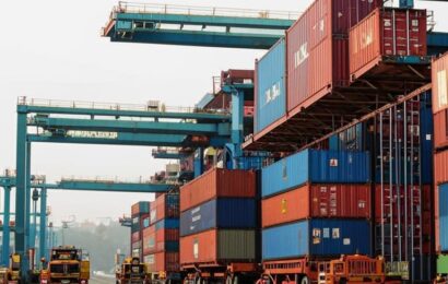 фото сделано с помощью gigachat_bot