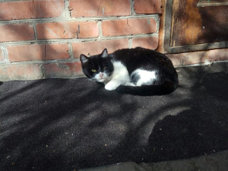 фото Александра Шихова для АСП Ньюс