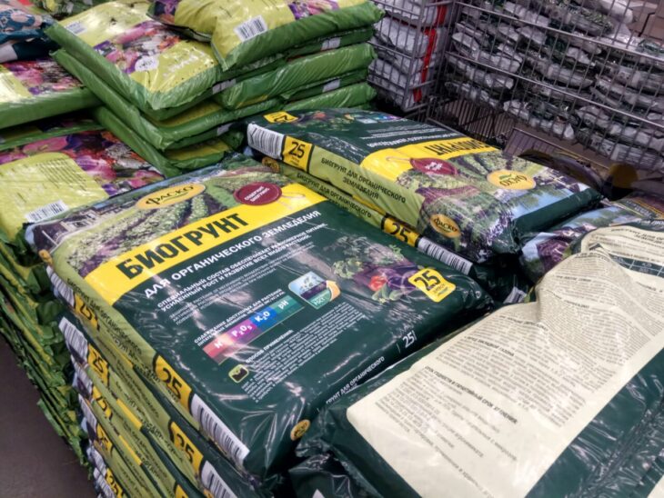 фото Александра Шихова для АСП Ньюс