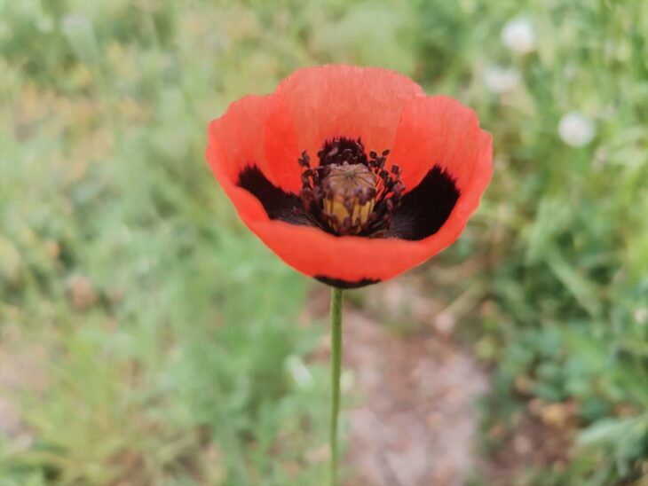 фото Ники Виноградовой для АСП Ньюс