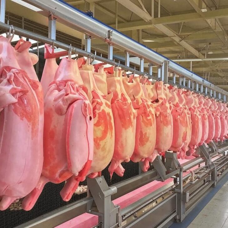 фото сделано с помощью gigachat_bot