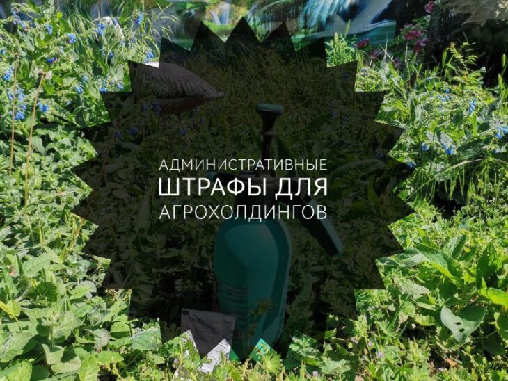 фото Ники Виноградовой для АСП Ньюс