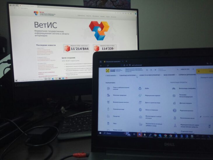 фото Александра Шихова для АСП Ньюс