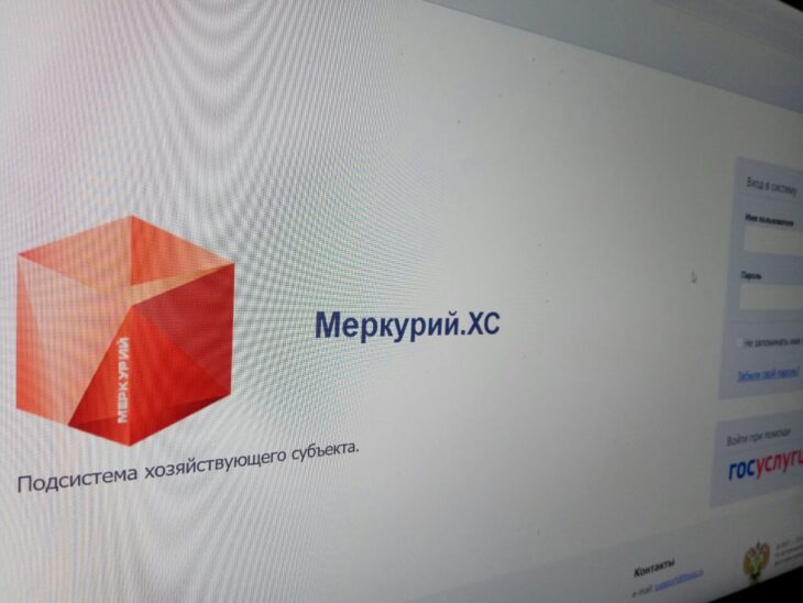 фото Александра Шихова для АСП Ньюс