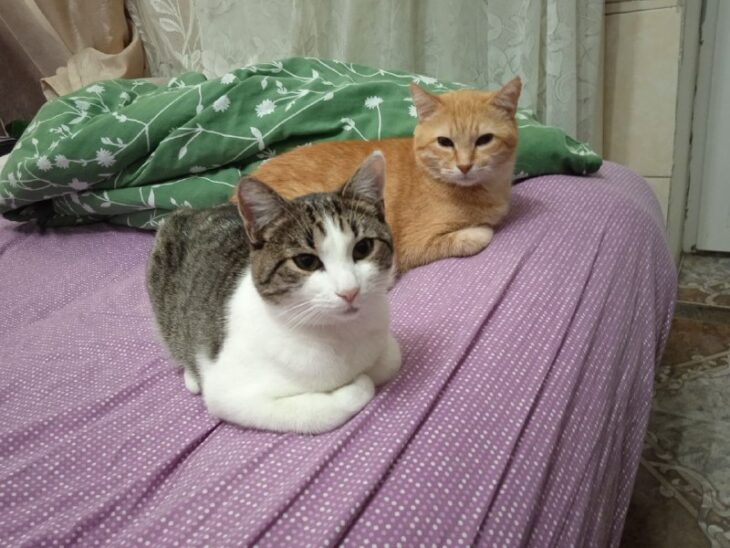 фото Александра Шихова для АСП Ньюс