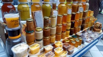 Фото Александра Шихова для АСП Ньюс