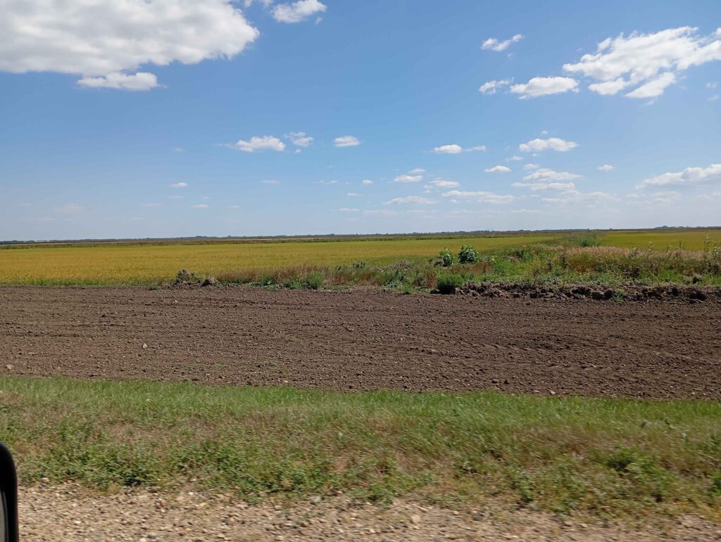 фото Ники Виноградовой для АСП Ньюс