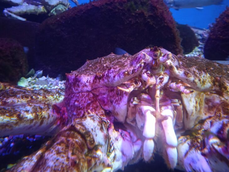 фото Александра Шихова для АСП Ньюс