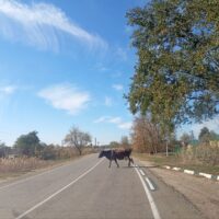 Фото Ники Виноградовой для АСП.Ньюс