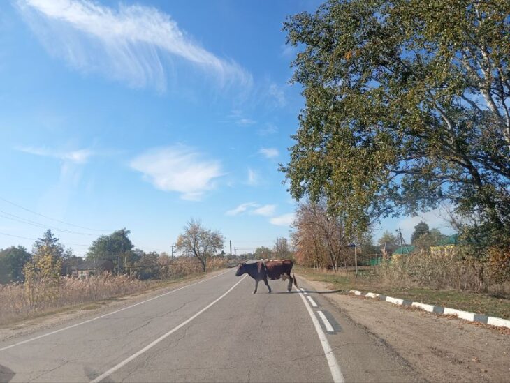 Фото Ники Виноградовой для АСП.Ньюс