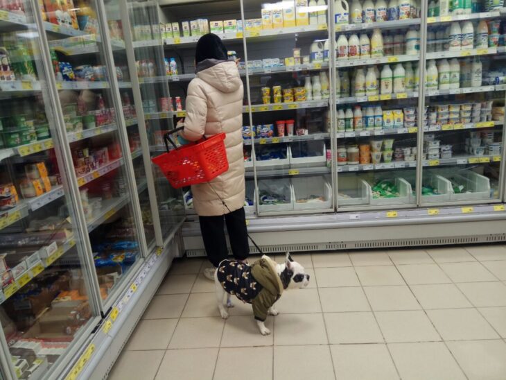 фото Александра Шихова для АСП Ньюс