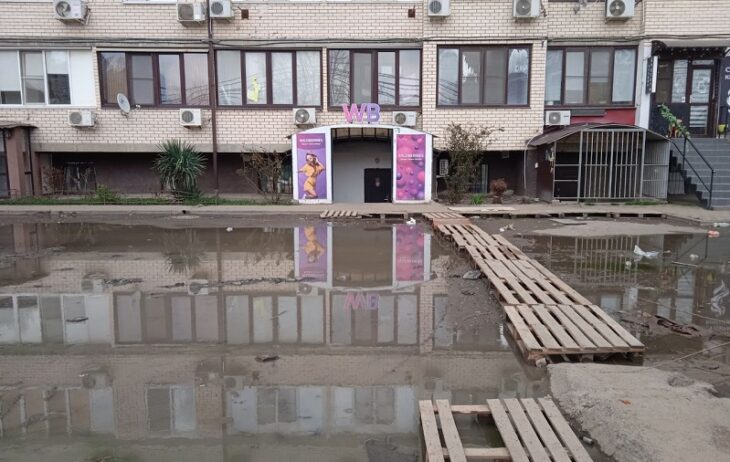 фото Александра Шихова для АСП Ньюс