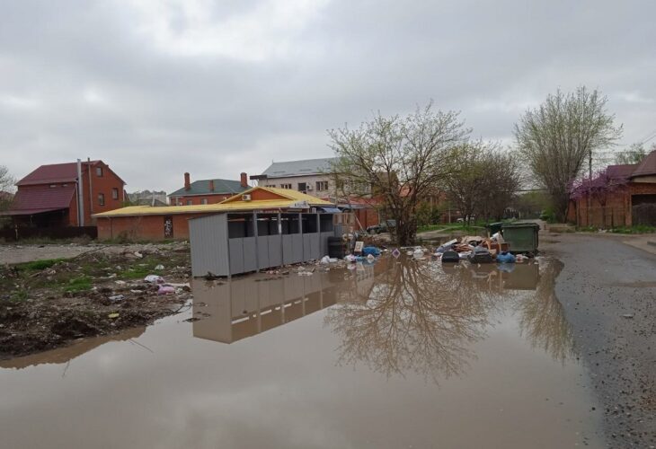 фото Александра Шихова для АСП Ньюс