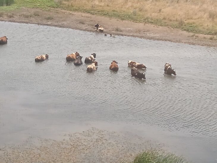 фото Александра Шихова для АСП Ньюс