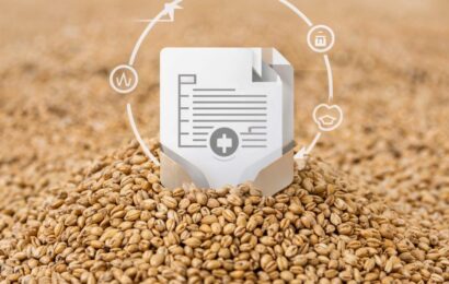 фото сделано с помощью gigachat_bot