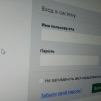 фото Александра Шихова для АСП Ньюс