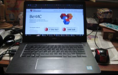 фото Александра Шихова для АСП Ньюс