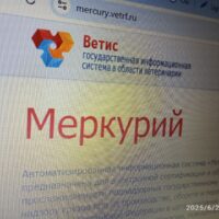 фото Александра Шихова для АСП Ньюс