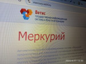 фото Александра Шихова для АСП Ньюс