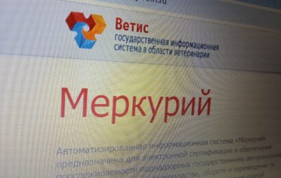 фото Александра Шихова для АСП Ньюс