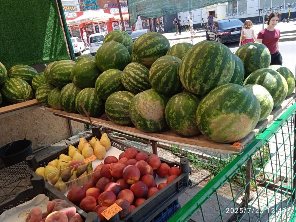 Фото Александра Шихова для АСП.Ньюс
