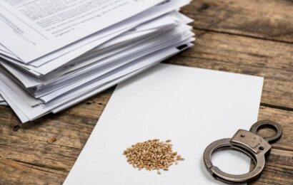 фото сделано с помощью gigachat_bot