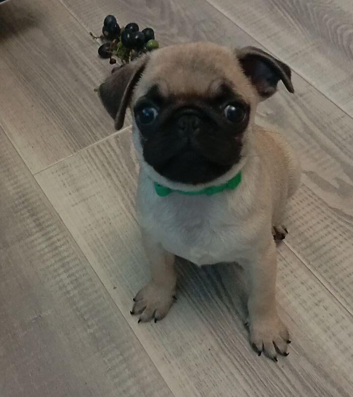 5298803700170618519 e1756478895975